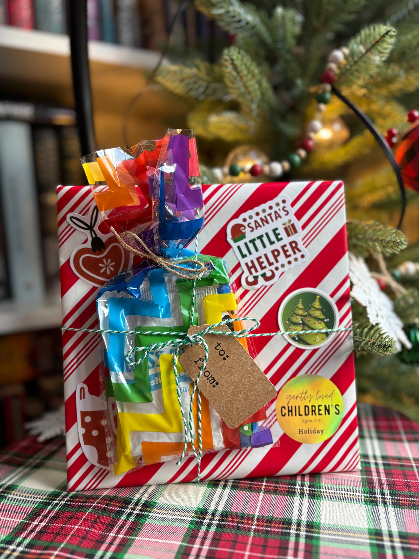 Children's Book - Holiday Board Books