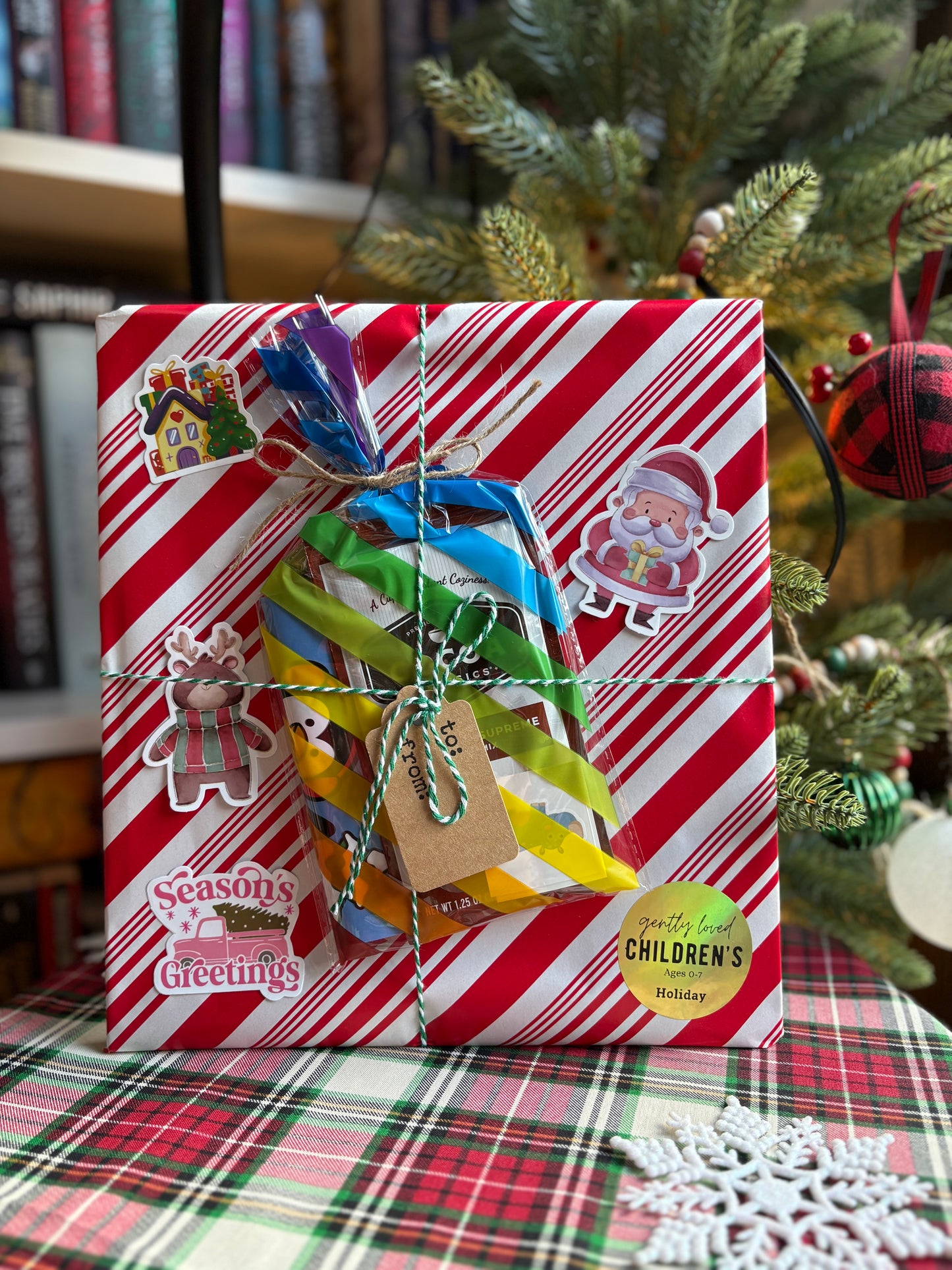 Children's Book - Holiday Board Books