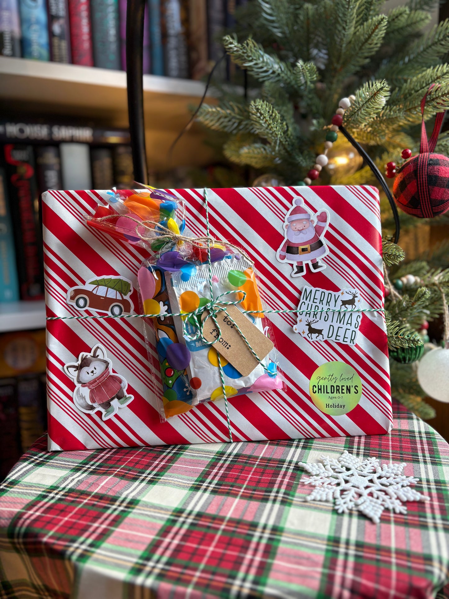 Children's Book - Holiday Board Books