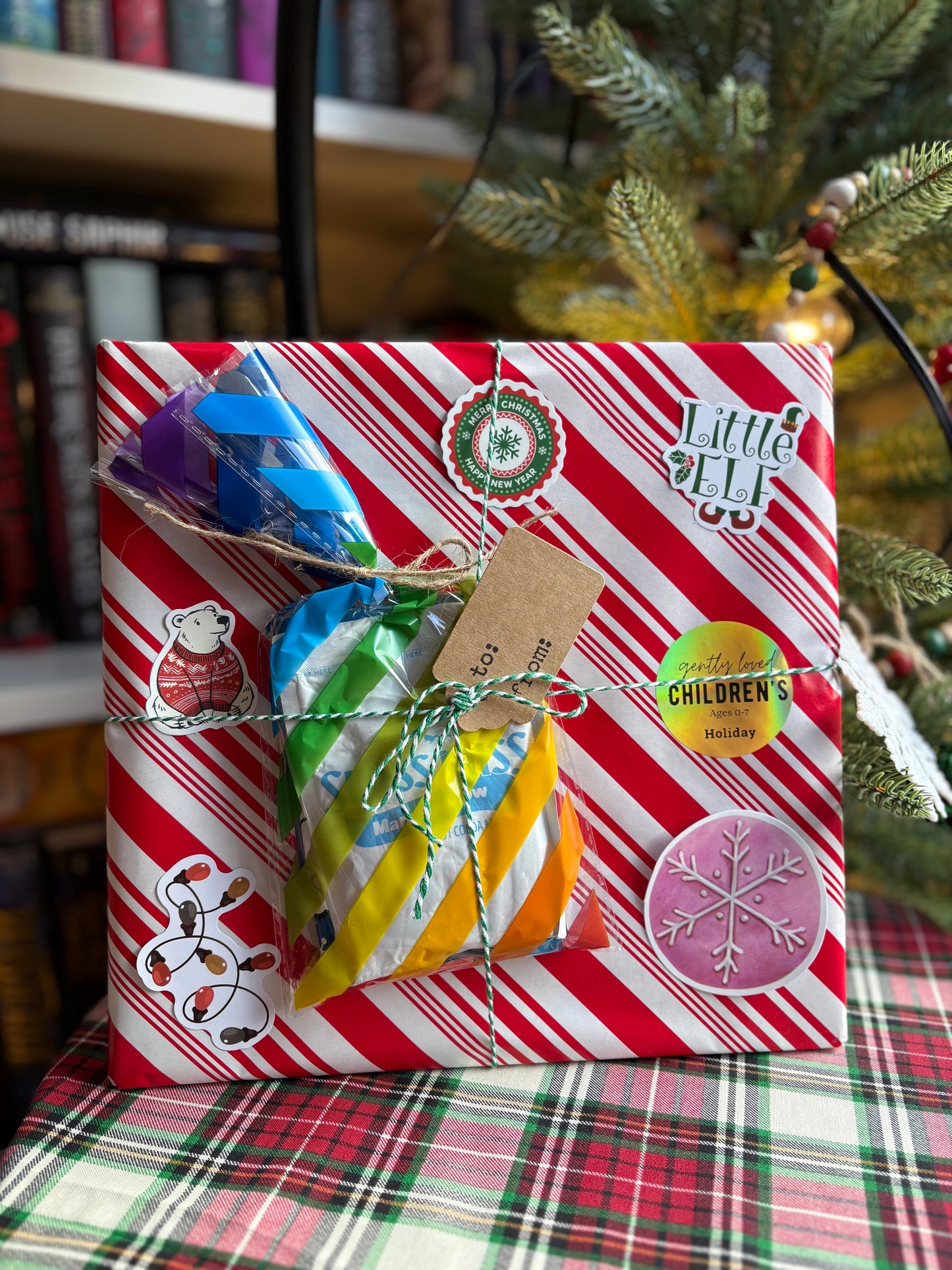 Children's Book - Holiday Board Books