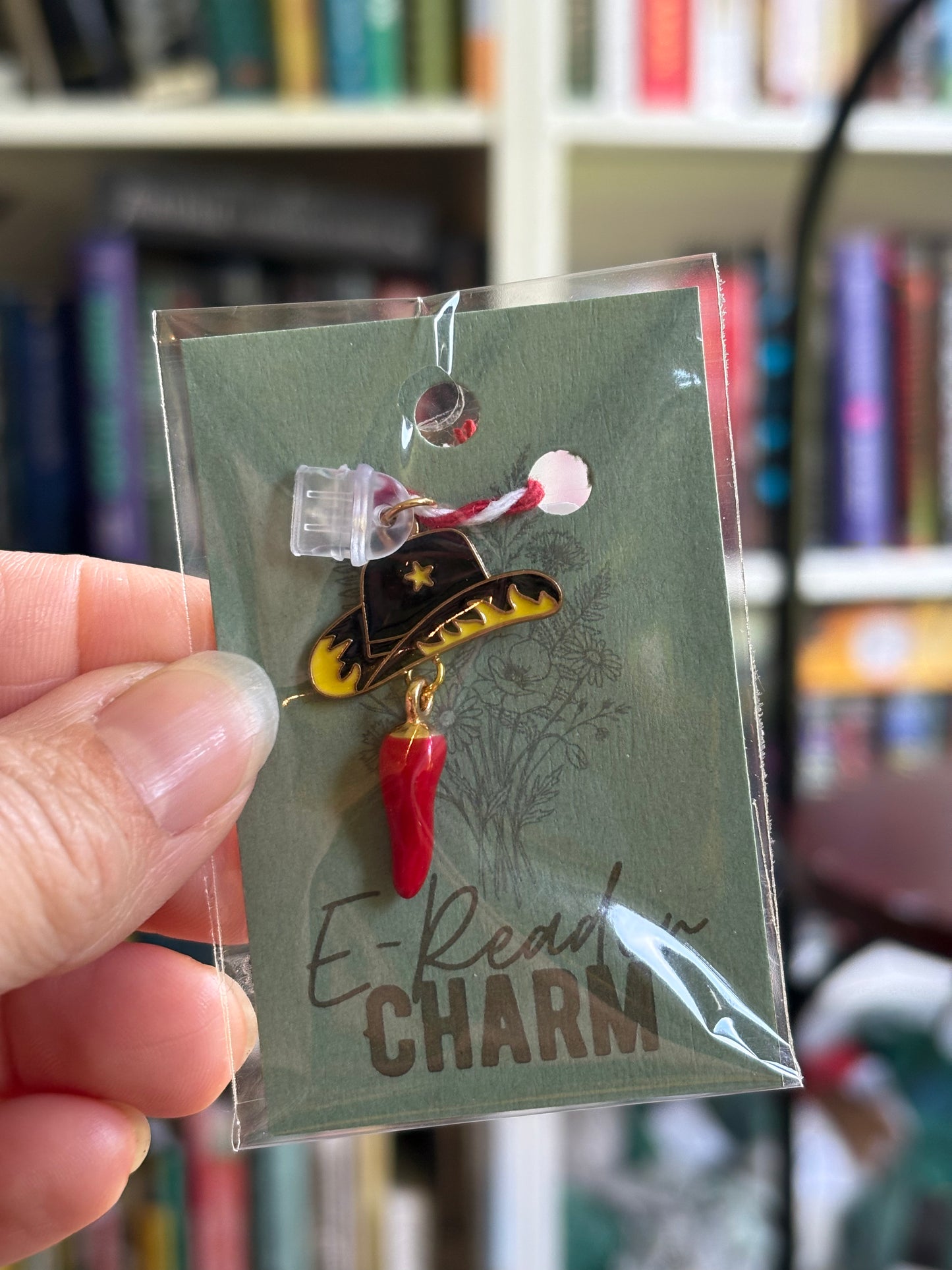 E-Reader Charms