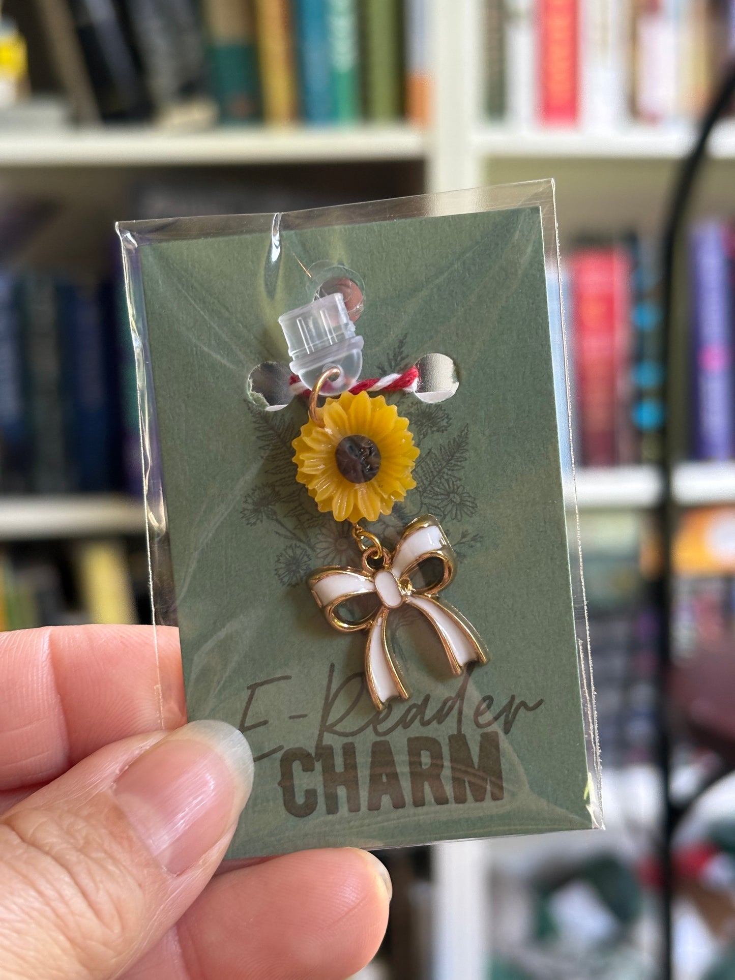 E-Reader Charms