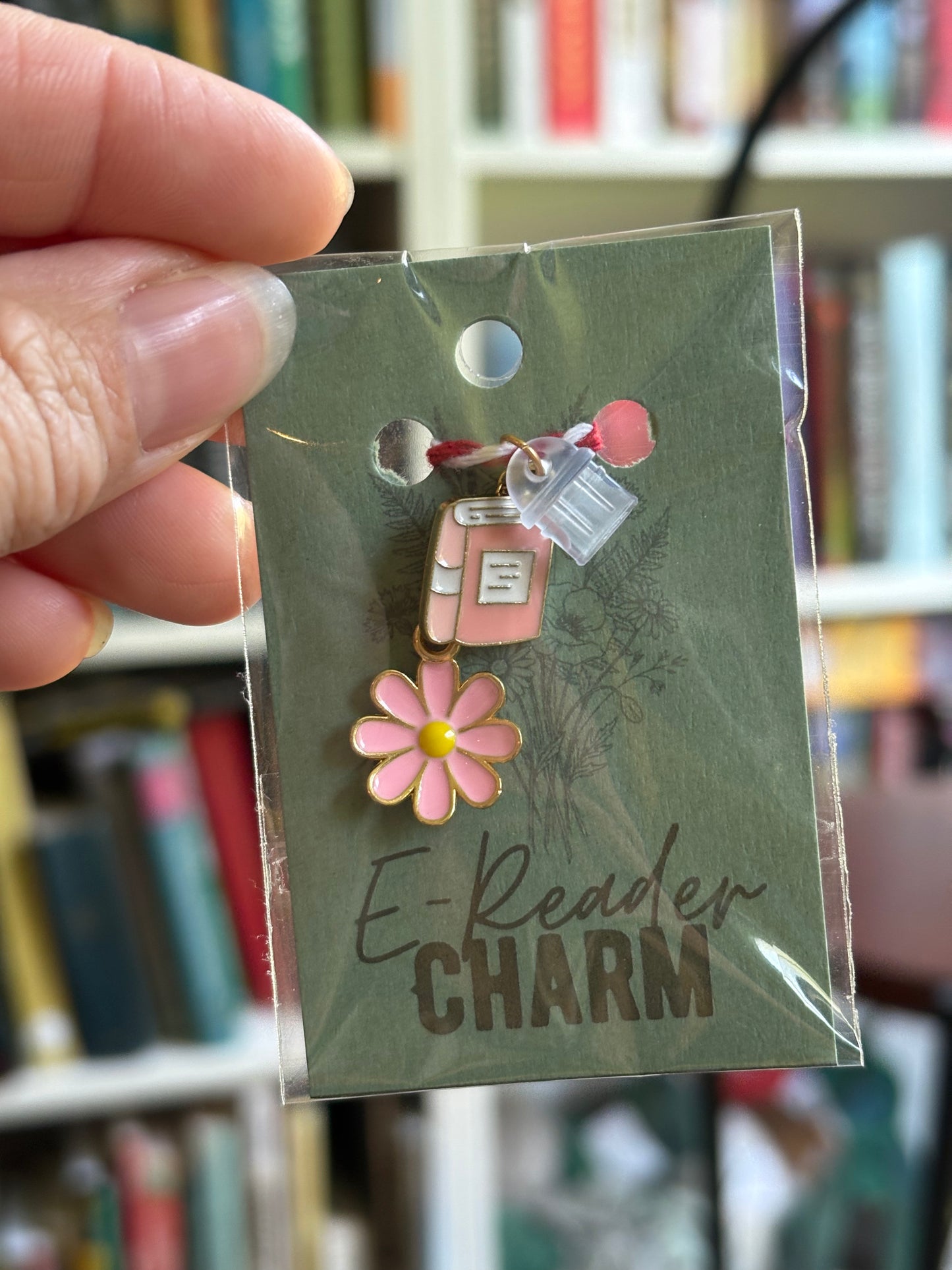E-Reader Charms