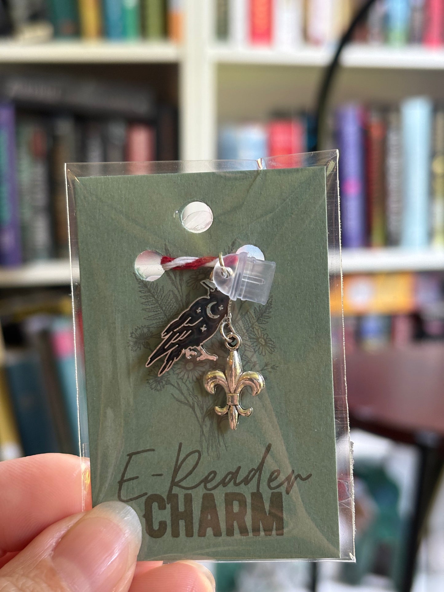 E-Reader Charms
