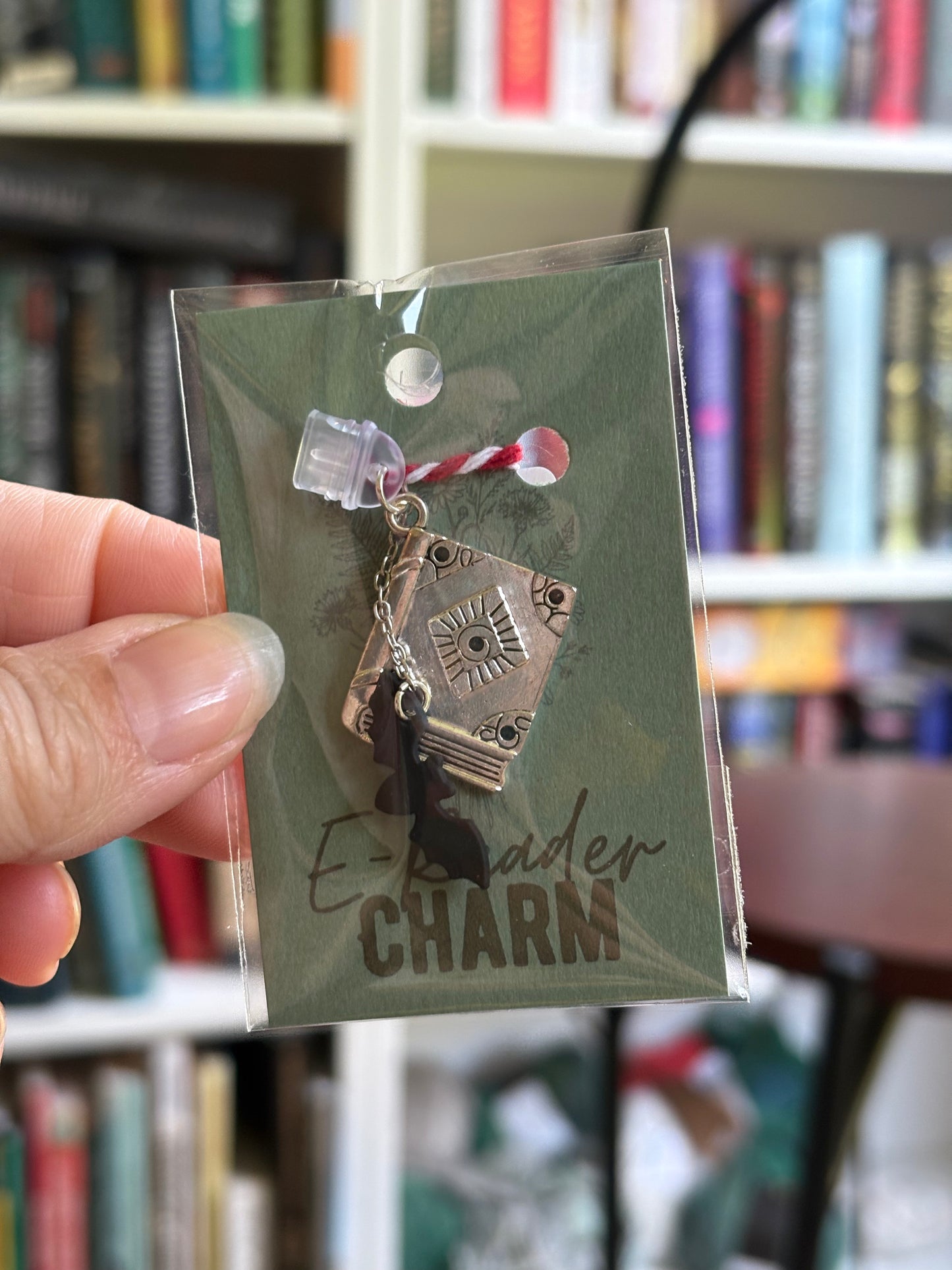 E-Reader Charms