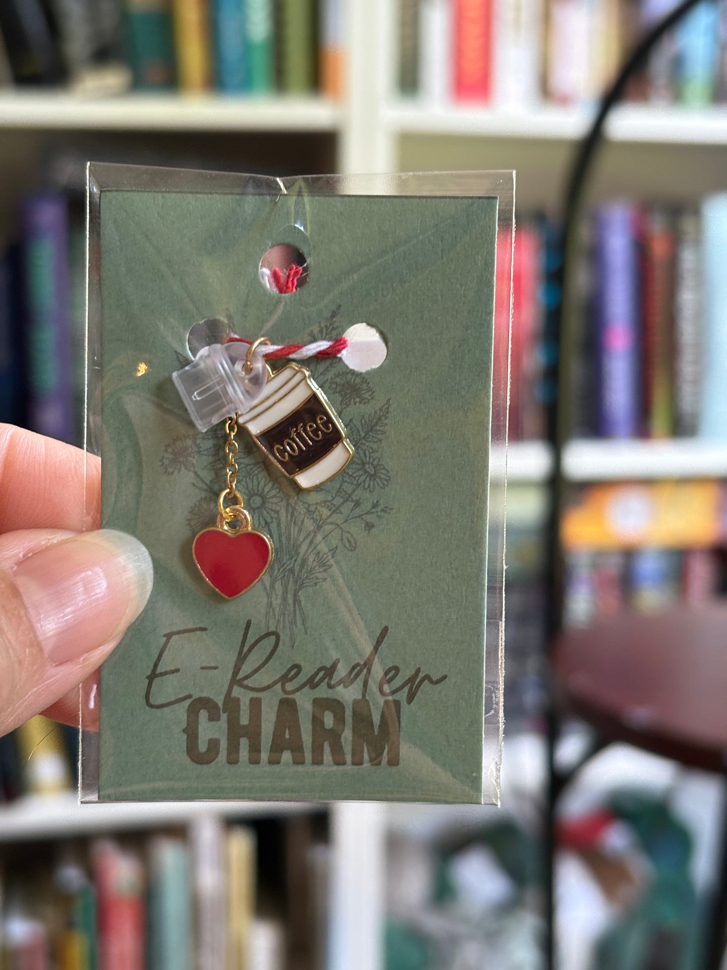 E-Reader Charms