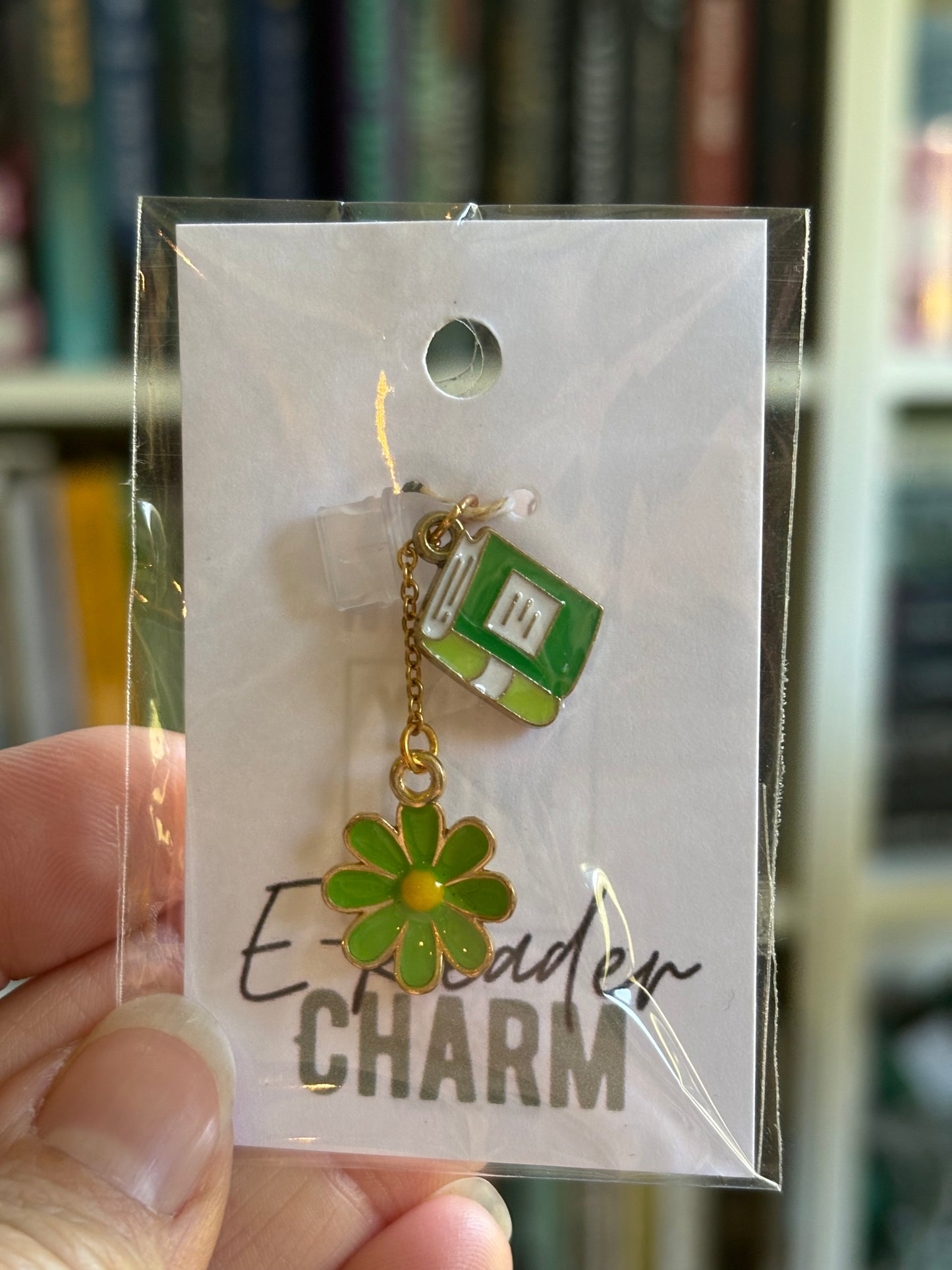 E-Reader Charms