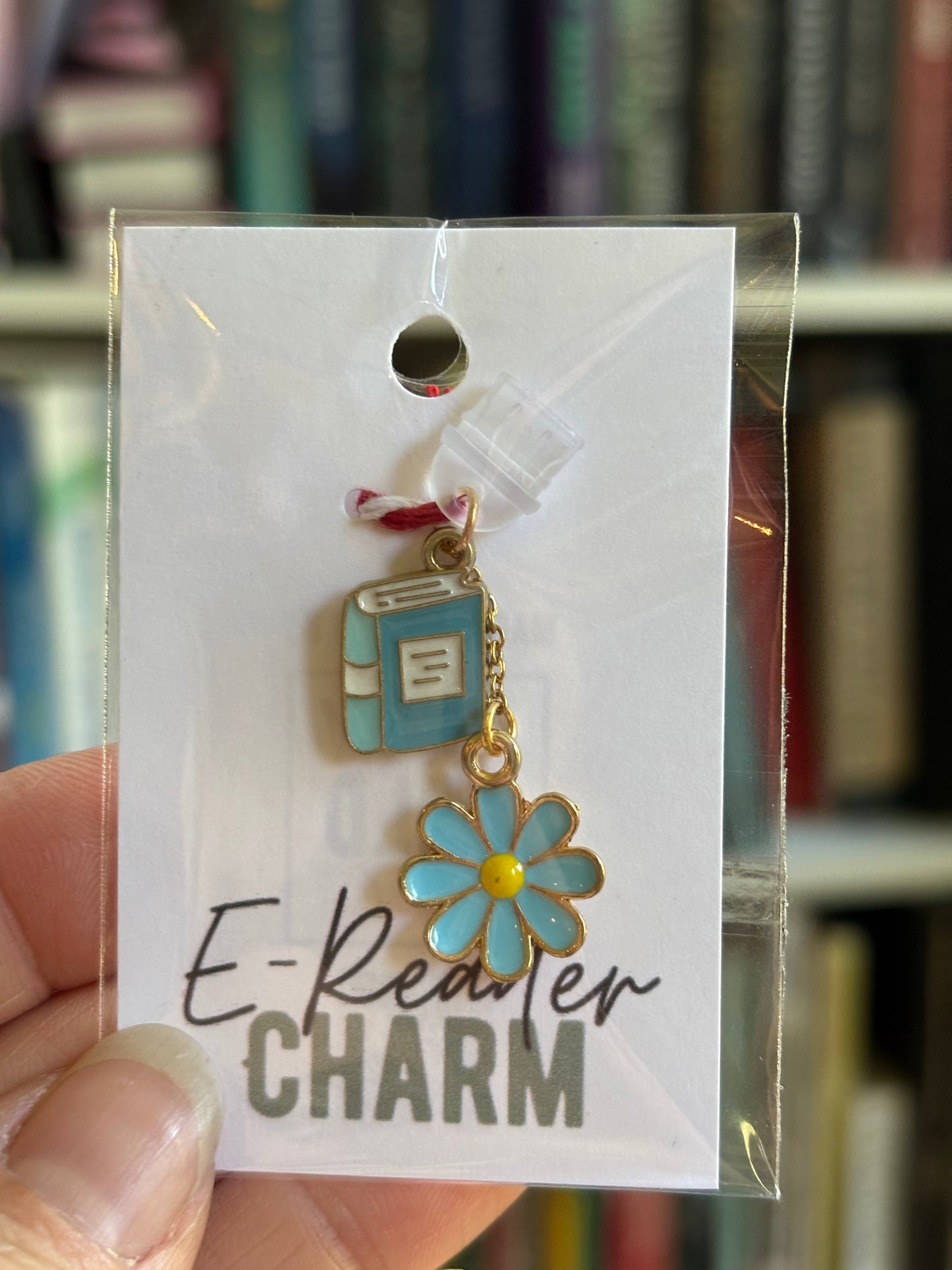 E-Reader Charms